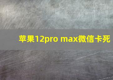 苹果12pro max微信卡死